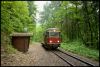 2017_05_26_Harztour_Sonderfahrt_Selketal_Brocken_036.jpg