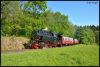 2017_05_26_Harztour_Sonderfahrt_Selketal_Brocken_075.jpg